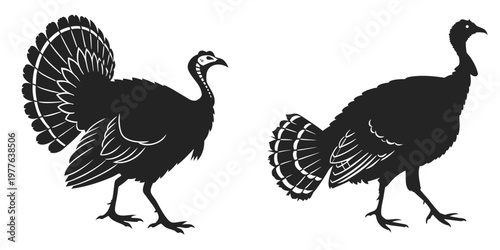 Two turkeys standing side by side with tails spread out