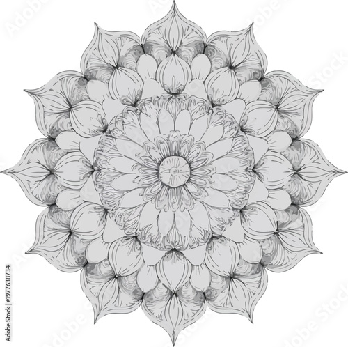 perfectly symmetrical floral mandala, clean vector, boho mandala, smooth bezier curves, white background