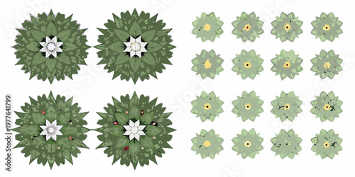 Aerial view of stylized artichoke plants with varying degrees of bloom