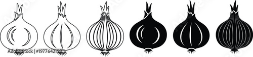 Six stylized onions, three in outline and three in silhouette, arranged in a row vegetable food ingredient