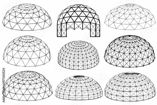 Architectural renderings of geodesic domes in varying designs and complexity