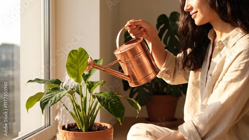 Young Woman Watering Houseplants by the Window in Natural Light.