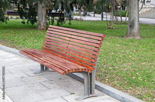 Wooden bench in an authentic city garden with nature reviving in spring, Sofia, Bulgaria 