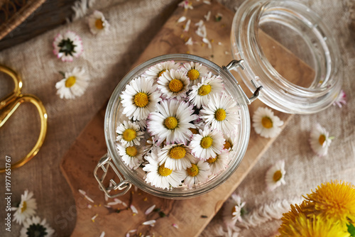 Preparation of herbal syrup from common daisy flowers in a jar