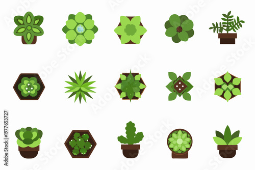Collection of vibrant stylized succulent plants in various shapes and pots