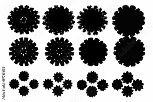 Collection of black silhouettes depicting various tree crown shapes