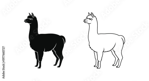 Bee, insect, icon, set, black, white, vector graphics, illustration, symbol, logo, design element