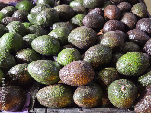 A tray of ripe dark green avocados in a farmers market stall