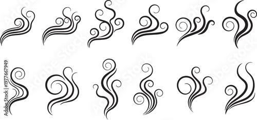 Decorative swirls and curls ornaments set.