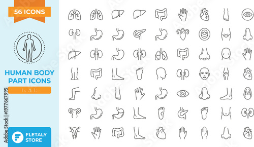 Human body part icons set for medical and health concepts