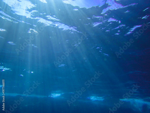 Ocean blue underwater with sunrays, Underwater Sea Deep Water Abstract Sunshine, sea wave , clean waters in summer time, Natural underwater seascape, sand on ocean floor and water surface sunlight.
