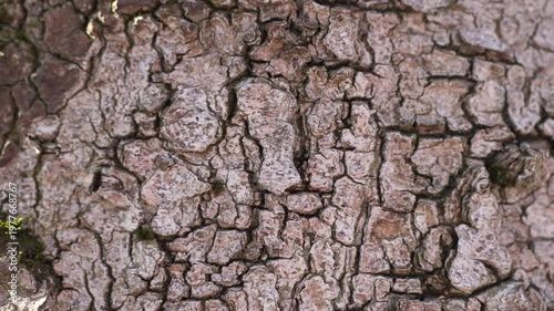 Zoom‑in revealing micro‑relief and layered surface topography