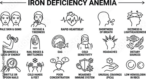 Iron deficiency anemia symptoms infographic with icons