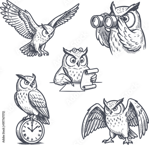 navy blue owl character set in hand drawn style including flying watching writing and clock poses without white fills