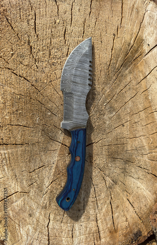 Damascus Steel Hunting Knife With Blue Wood Handle and Serrated Blade On Tree Stump