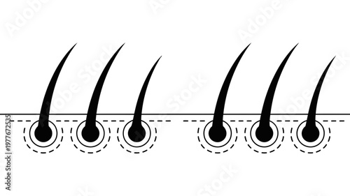 Stylized icons representing hair strands and their follicles, emphasizing growth and root structure