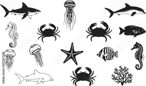 Set of marine life sea creatures vector.