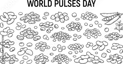 World Pulses Day illustration with various beans and legumes on white background