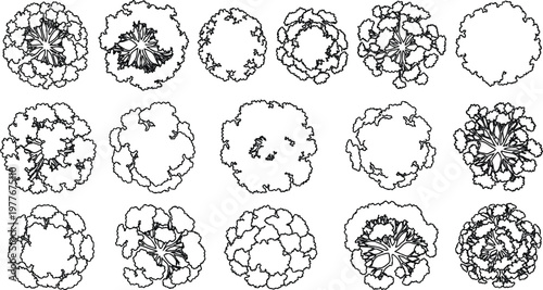 Set of black and white vector tree icons for top down landscape architectural design plans