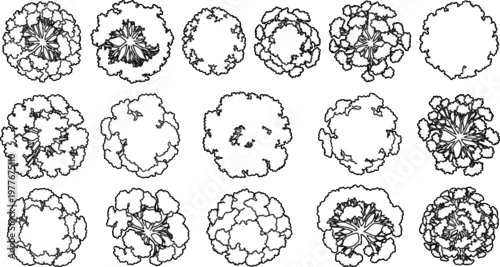 Obraz Set of black and white vector tree icons for top down landscape architectural design plans