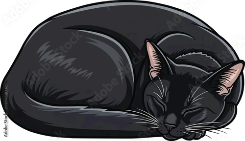 Bombay Cat curled up sleeping relaxed resting vector illustration