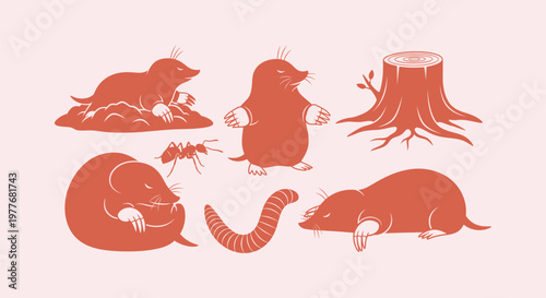 Set of stylized mole illustrations with an ant earthworm and tree stump for nature graphic design
