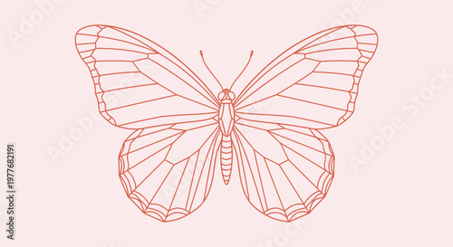 Elegant Butterfly Line Drawing with Intricate Wing Patterns on Minimalist Pastel Pink Background
