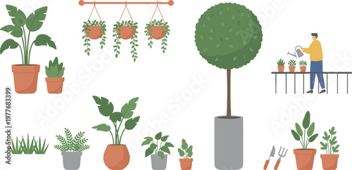 Vector illustration of potted plants, succulents, hanging vines, and person watering in indoor or balcony gardening scene