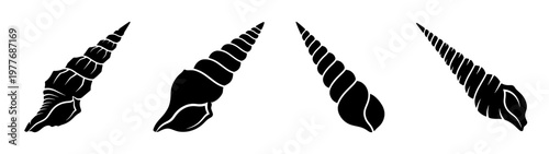 Black and white seashells vector illustration set of auger shells sea life ocean shells auger shell art