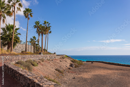 Fotografie Palm trees along coastal path in Fuerteventura, Esquinzo