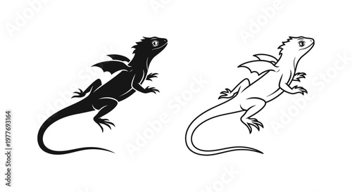 Mythical winged lizard vector set, black silhouette and line art dragon icons, fantasy reptile creature illustrations for gaming and logo design