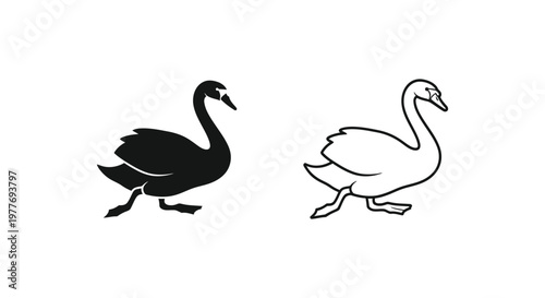 Minimalist swan vector icons, black and white swan silhouette and line art set, elegant waterfowl bird illustrations for branding and logo design
