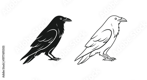 Black raven vector illustration set, minimalist crow silhouette and line art icons, mystical bird graphic elements for logo design and branding