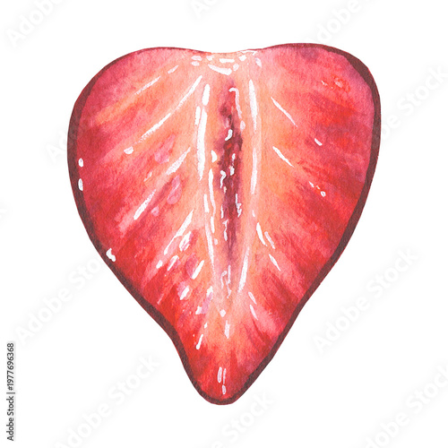 Photos Strawberry slice half plant watercolor isolated illustration
