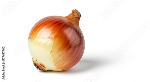 onions on a white background