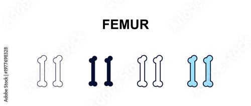 femur multi-style outline icon set - medical concept. Thin line, regular, filled, colored femur icon
