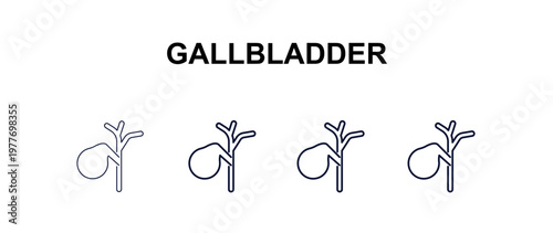gallbladder multi-style outline icon set - medical concept. Thin line, regular, filled, colored gallbladder icon