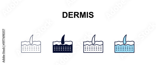 dermis multi-style outline icon set - medical concept. Thin line, regular, filled, colored dermis icon