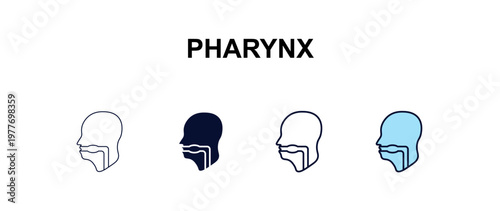 pharynx multi-style outline icon set - medical concept. Thin line, regular, filled, colored pharynx icon