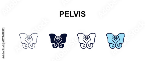 pelvis multi-style outline icon set - medical concept. Thin line, regular, filled, colored pelvis icon