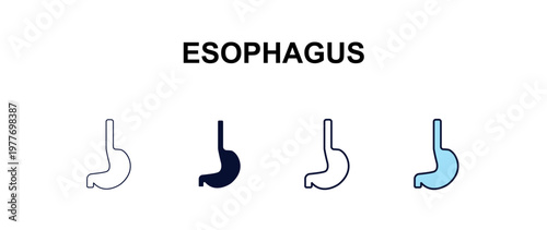esophagus multi-style outline icon set - medical concept. Thin line, regular, filled, colored esophagus icon
