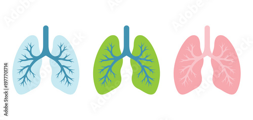 Lung human icon respiratory system healthy lungs, modern medical illustration showing healthy lungs and respiratory system for healthcare, education, and wellness design, vector set.
