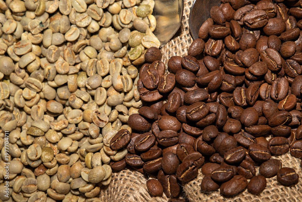 Fototapeta premium Comparison of raw green coffee beans and dark roasted beans on burlap sack with a metal scoop, industrial coffee production and roasting process.