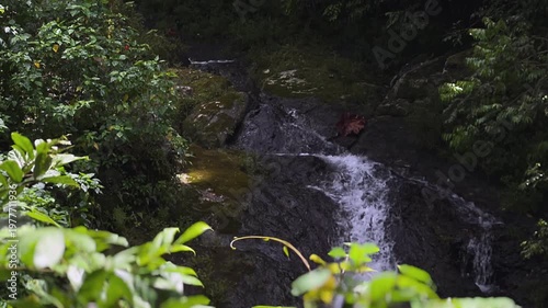 small tropical rainforest waterfall flowing over moss covered rocks surrounded by dense jungle vegetation