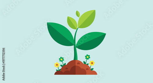 Wallpaper Mural Green Plant Growing in Soil. Torontodigital.ca