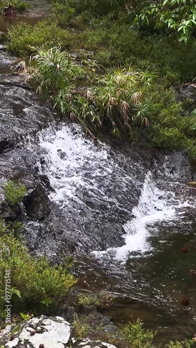 small rocky waterfall cascading into clear stream surrounded by lush green riverside vegetation