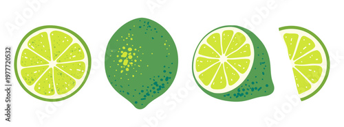 Lime halves and slices sett isolated on transparent background. Fresh citrus fruit. Ingredient for making lemonade. Hand drawn vibrant illustration in flat style
