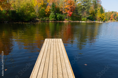 A light wooden dock extends from the foreground into a calm Ontario lake completely enveloped by dense autumn foliage at peak colour. Rich reflections of red, orange, yellow, and green trees shimmer