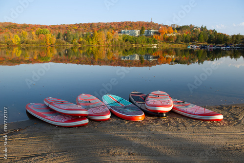 A fleet of red and teal stand-up paddleboards rests on a sandy beach at a lakeside resort in Ontario's Muskoka cottage country during peak autumn foliage season. Vibrant red, orange, and yellow fall