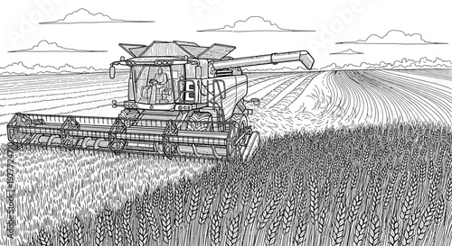 Combine harvester working in a wheat field during harvest season, line art illustration